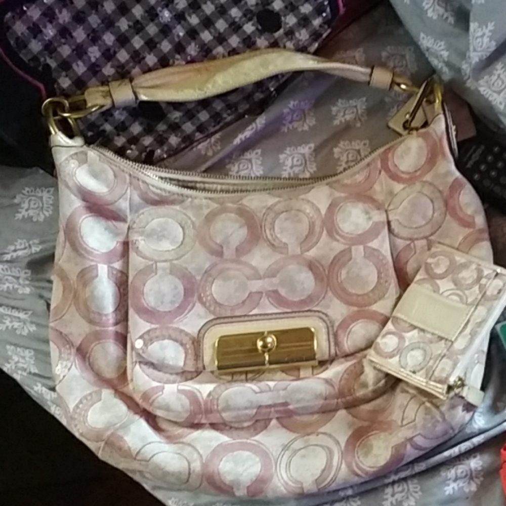 Purse and wallet